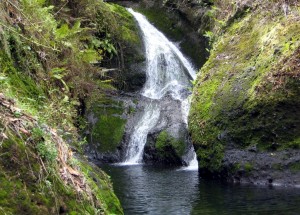 Wigmore's Falls on Rarotonga